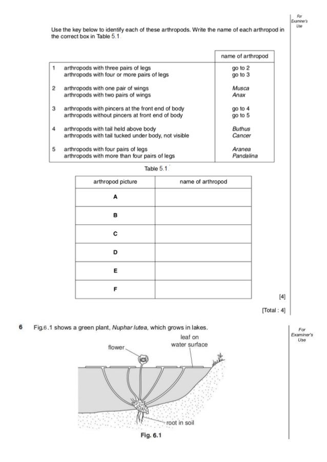 Igcse biology concepts revision chapter 1 to 8