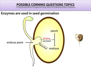 Igcse biology edexcel 2.1 2.16