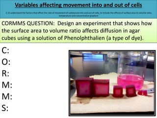 Igcse biology edexcel 2.1 2.16