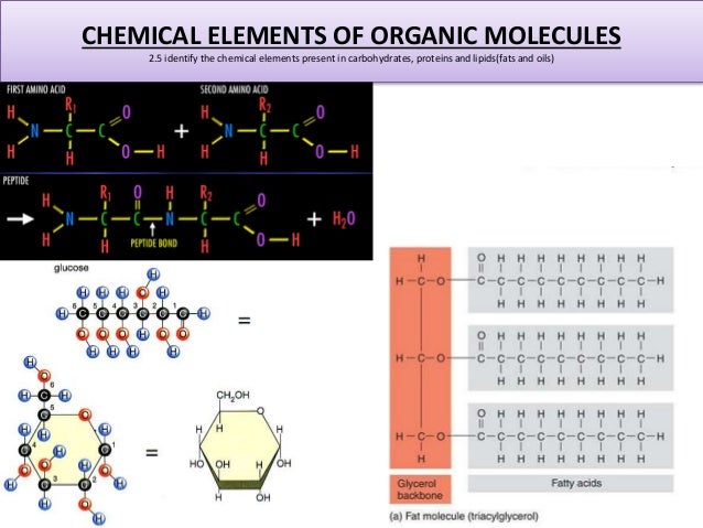 starch what chemical are elements in present 2 chemical elements the organic identify of molecules 5 chemical starch what chemical are elements in present 2 chemical elements the organic identify of molecules 5 chemical
