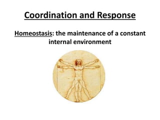 Coordination and Response 
Homeostasis: the maintenance of a constant 
internal environment 
 