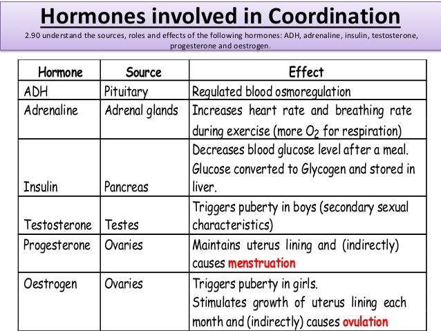 Igcse biology edexcel 2.77 2.90