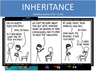 INHERITANCE 
(Syllabus points 3.13 – 3.33) 
 