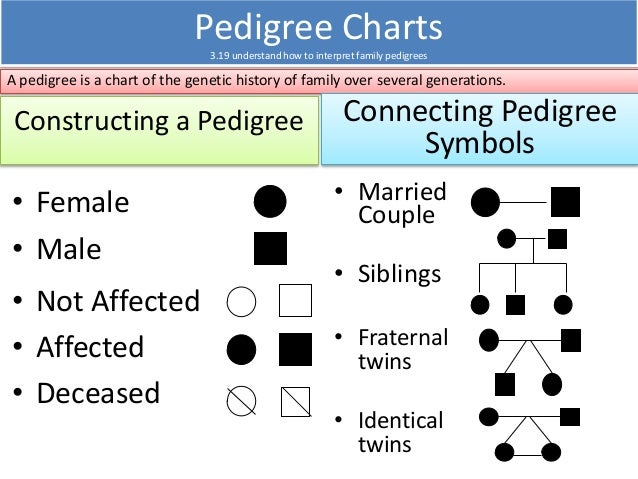 igcse biology edexcel 3 13 3 33 how to make and analyze a pedigree chart answer key