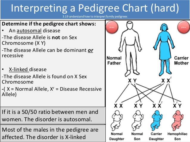 Interpreting Pedigree Charts