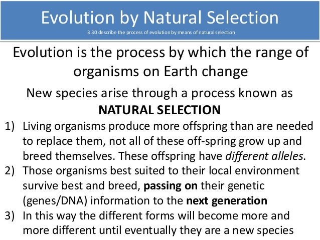 Natural Selection Meaning In Biology Natural Selection Meaning In Biology