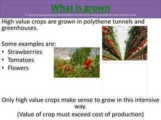 What Grows Example Igcse biology edexcel 5.1 5.9 | PPTX