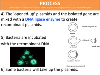 PROCESS 
5.12 describe the use of restriction enzymes to cut DNA at specific sites and ligase enzymes to join pieces of DNA together 
4) The 'opened-up' plasmids and the isolated gene are 
mixed with a DNA ligase enzyme to create 
recombinant plasmids. 
5) Bacteria are incubated 
with the recombinant DNA. 
6) Some bacteria will take up the plasmids. 
 