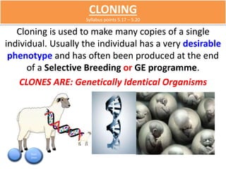 CLONING 
Syllabus points 5.17 – 5.20 
Cloning is used to make many copies of a single 
individual. Usually the individual has a very desirable 
phenotype and has often been produced at the end 
of a Selective Breeding or GE programme. 
CLONES ARE: Genetically Identical Organisms 
Start 
2min 
 