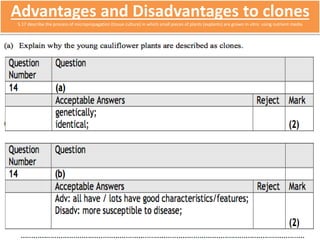 Advantages and Disadvantages to clones 
5.17 describe the process of micropropagation (tissue culture) in which small pieces of plants (explants) are grown in vitro using nutrient media 
 