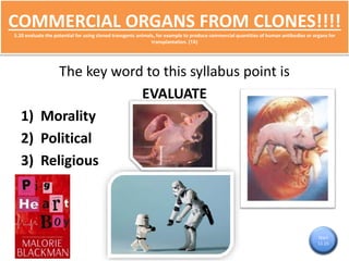 COMMERCIAL ORGANS FROM CLONES!!!! 
5.20 evaluate the potential for using cloned transgenic animals, for example to produce commercial quantities of human antibodies or organs for 
transplantation. (TA) 
The key word to this syllabus point is 
EVALUATE 
1) Morality 
2) Political 
3) Religious 
Start 
11.15 
 