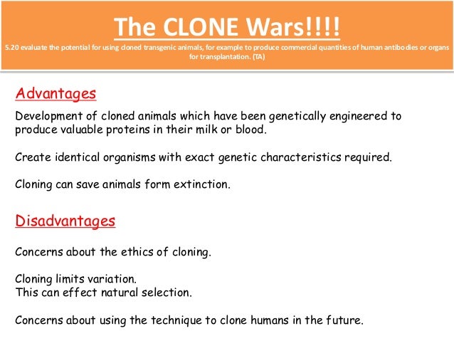 Essay on cloning animals