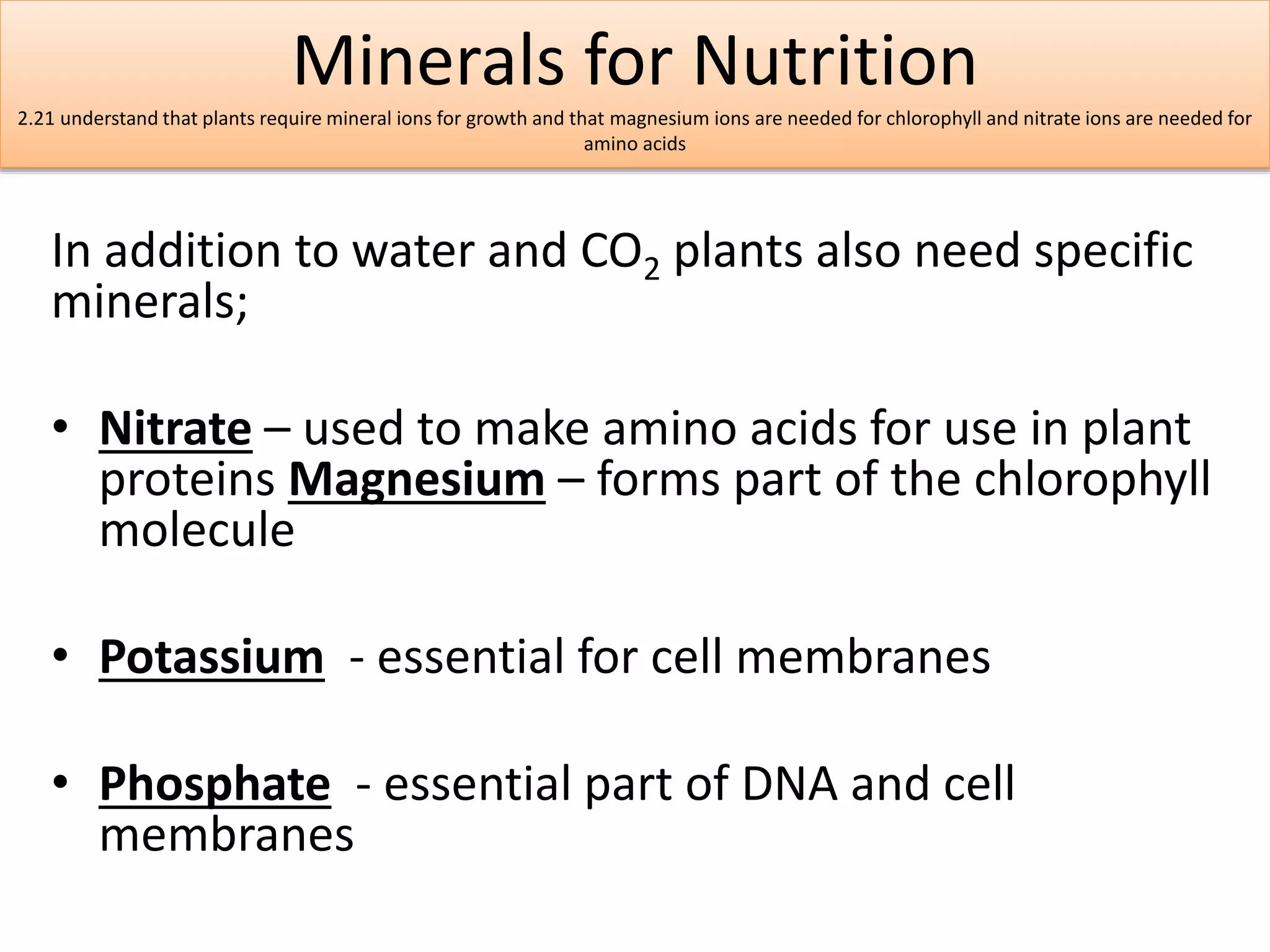 Minerals for Nutrition 
2.21 understand that plants require mineral ions for growth and that magnesium ions are needed for chlorophyll and nitrate ions are needed for 
amino acids 
In addition to water and CO2 plants also need specific 
minerals; 
• Nitrate – used to make amino acids for use in plant 
proteins Magnesium – forms part of the chlorophyll 
molecule 
• Potassium - essential for cell membranes 
• Phosphate - essential part of DNA and cell 
membranes 
 
