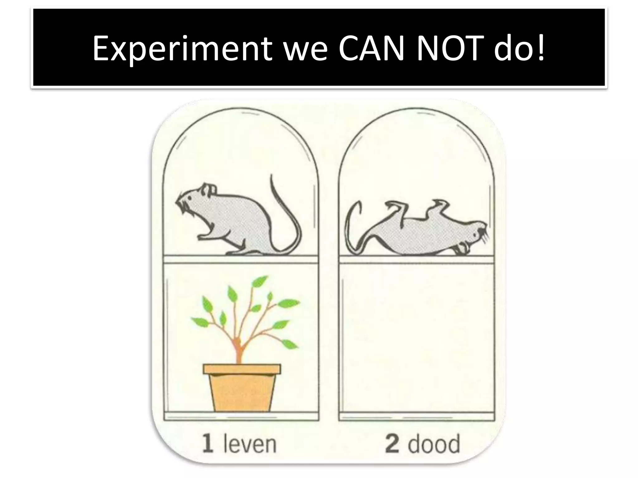 Experiment we CAN NOT do! 
 