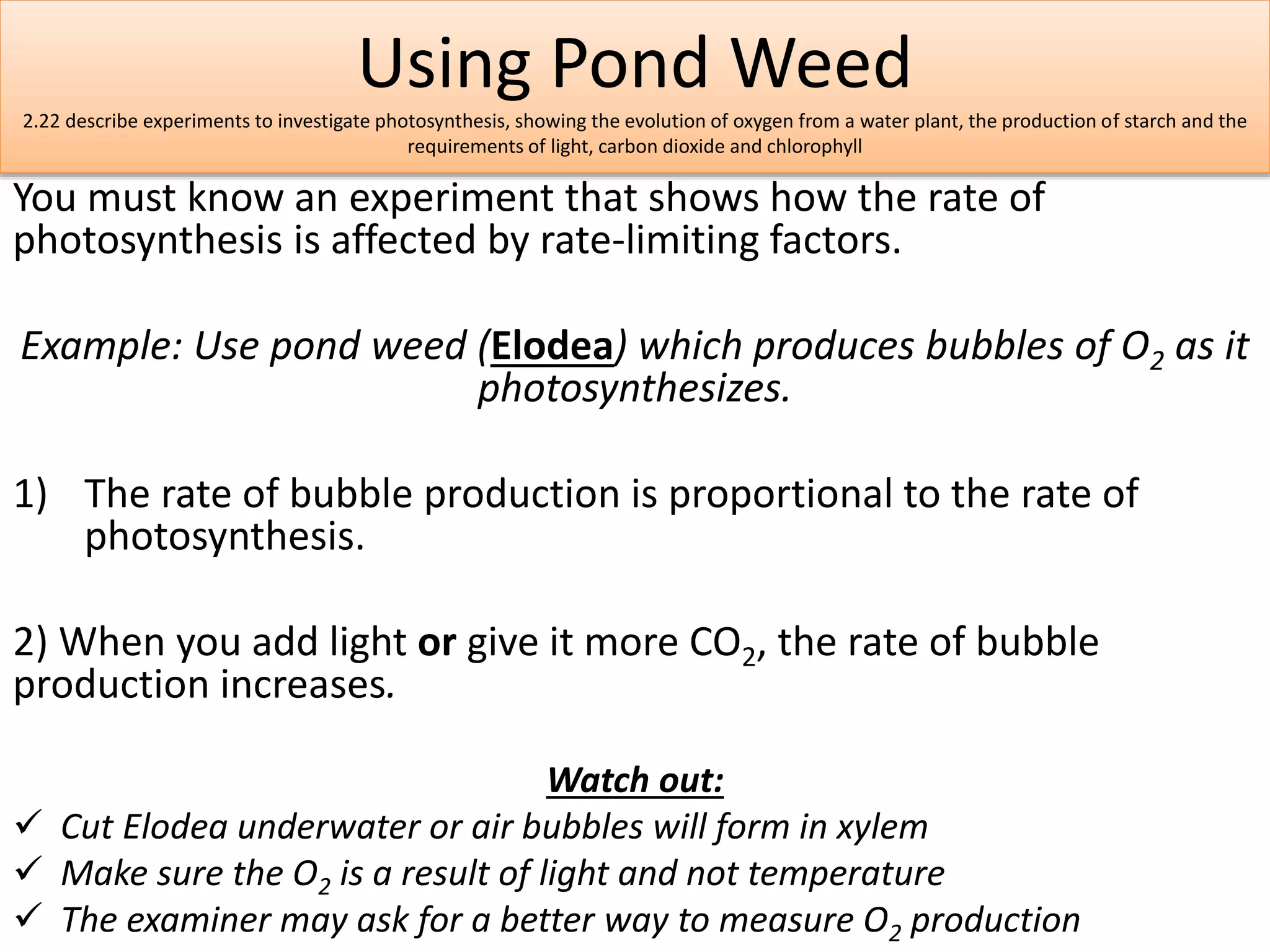 Using Pond Weed 
2.22 describe experiments to investigate photosynthesis, showing the evolution of oxygen from a water plant, the production of starch and the 
requirements of light, carbon dioxide and chlorophyll 
You must know an experiment that shows how the rate of 
photosynthesis is affected by rate-limiting factors. 
Example: Use pond weed (Elodea) which produces bubbles of O2 as it 
photosynthesizes. 
1) The rate of bubble production is proportional to the rate of 
photosynthesis. 
2) When you add light or give it more CO2, the rate of bubble 
production increases. 
Watch out: 
 Cut Elodea underwater or air bubbles will form in xylem 
 Make sure the O2 is a result of light and not temperature 
 The examiner may ask for a better way to measure O2 production 
 