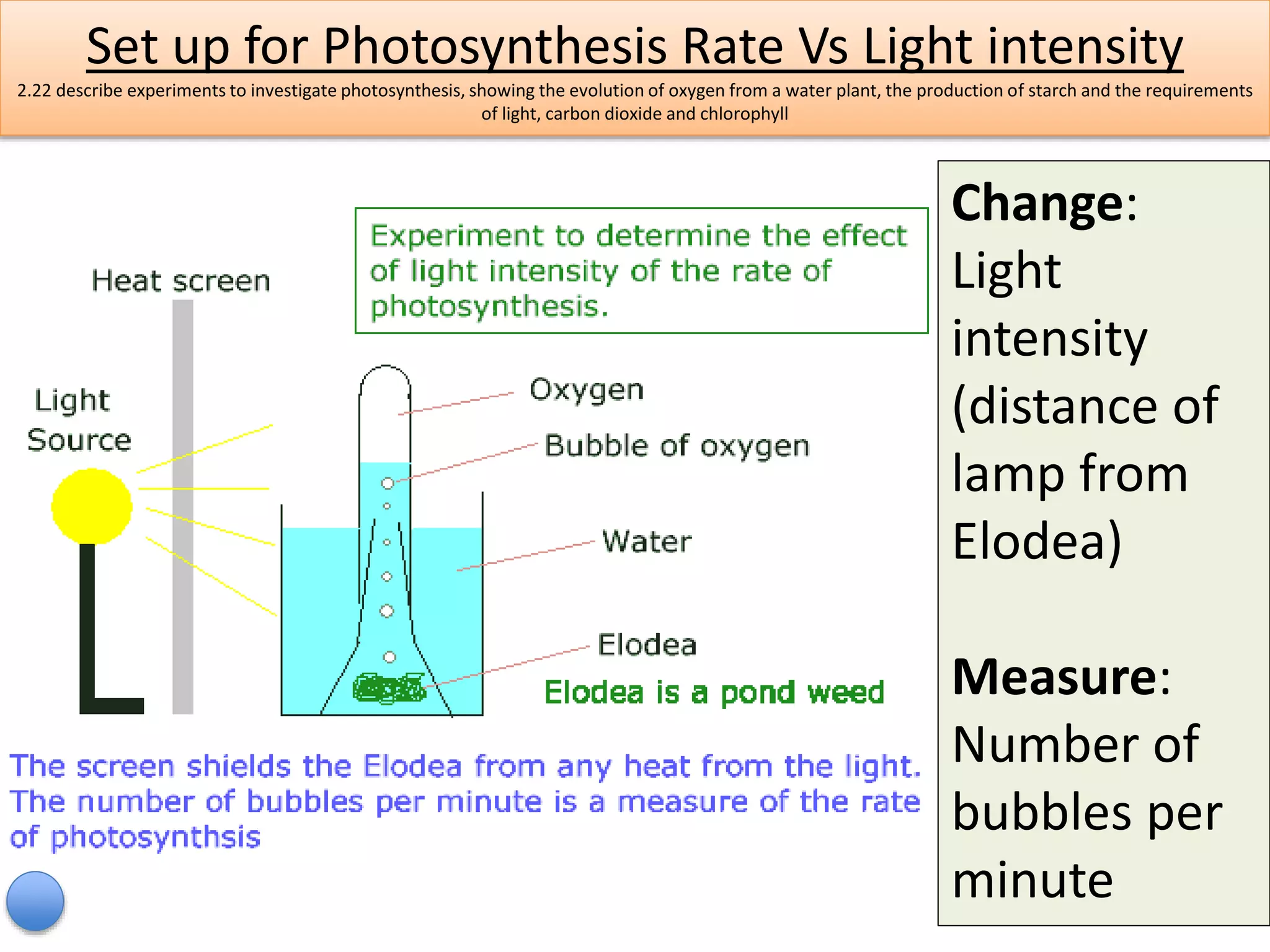 Set up for Photosynthesis Rate Vs Light intensity 
2.22 describe experiments to investigate photosynthesis, showing the evolution of oxygen from a water plant, the production of starch and the requirements 
of light, carbon dioxide and chlorophyll 
Change: 
Light 
intensity 
(distance of 
lamp from 
Elodea) 
Measure: 
Number of 
bubbles per 
minute 
 
