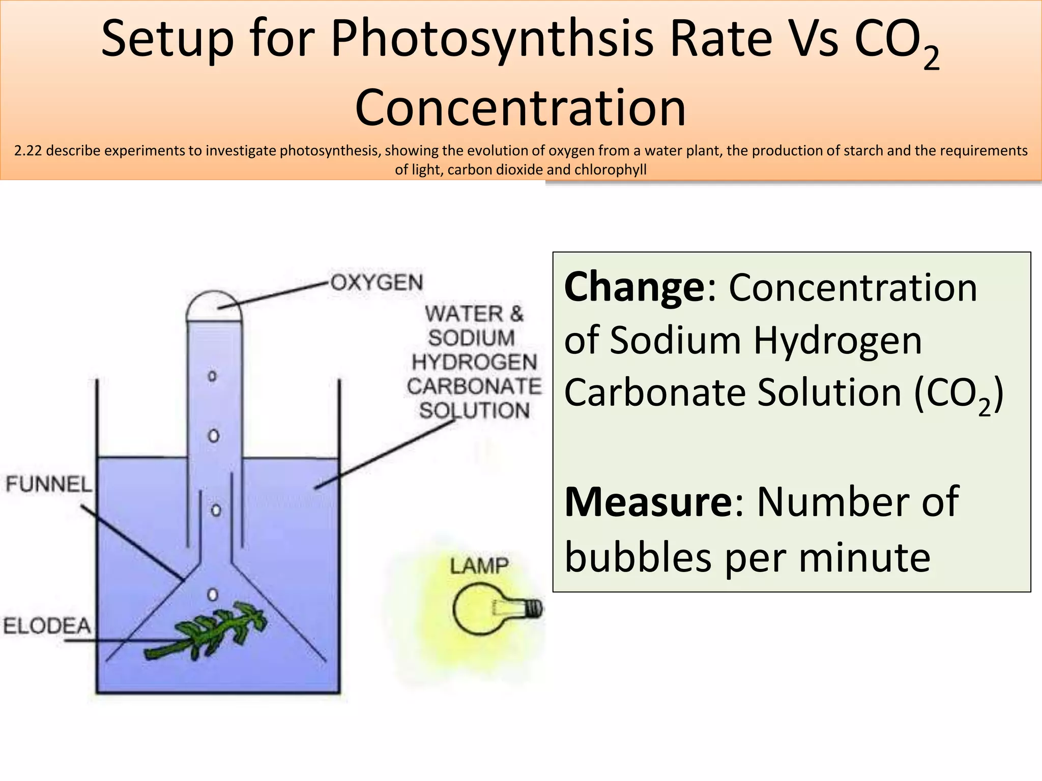 Setup for Photosynthsis Rate Vs CO2 
Concentration 
2.22 describe experiments to investigate photosynthesis, showing the evolution of oxygen from a water plant, the production of starch and the requirements 
of light, carbon dioxide and chlorophyll 
Change: Concentration 
of Sodium Hydrogen 
Carbonate Solution (CO2) 
Measure: Number of 
bubbles per minute 
 