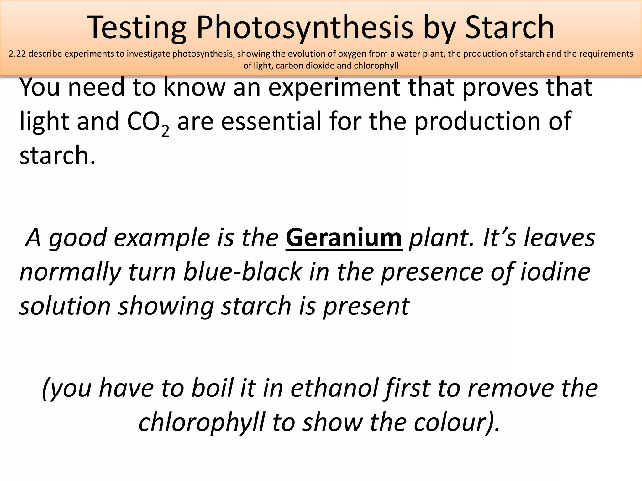 Testing Photosynthesis by Starch 
2.22 describe experiments to investigate photosynthesis, showing the evolution of oxygen from a water plant, the production of starch and the requirements 
of light, carbon dioxide and chlorophyll 
You need to know an experiment that proves that 
light and CO2 are essential for the production of 
starch. 
A good example is the Geranium plant. It’s leaves 
normally turn blue-black in the presence of iodine 
solution showing starch is present 
(you have to boil it in ethanol first to remove the 
chlorophyll to show the colour). 
 