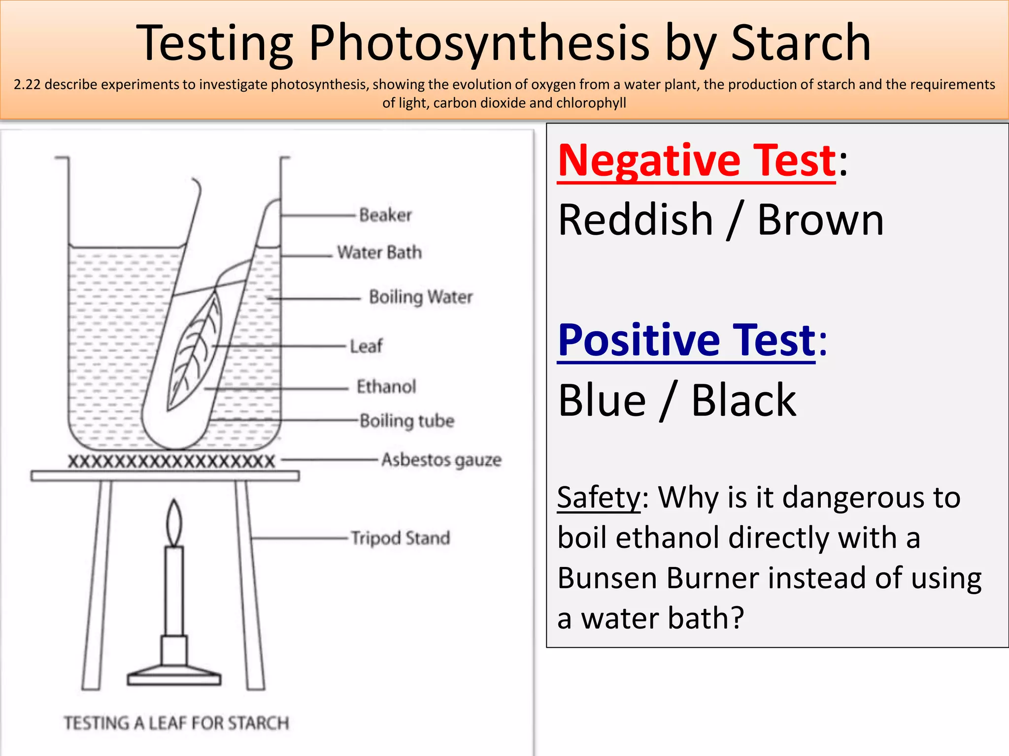 Testing Photosynthesis by Starch 
2.22 describe experiments to investigate photosynthesis, showing the evolution of oxygen from a water plant, the production of starch and the requirements 
of light, carbon dioxide and chlorophyll 
Negative Test: 
Reddish / Brown 
Positive Test: 
Blue / Black 
Safety: Why is it dangerous to 
boil ethanol directly with a 
Bunsen Burner instead of using 
a water bath? 
 