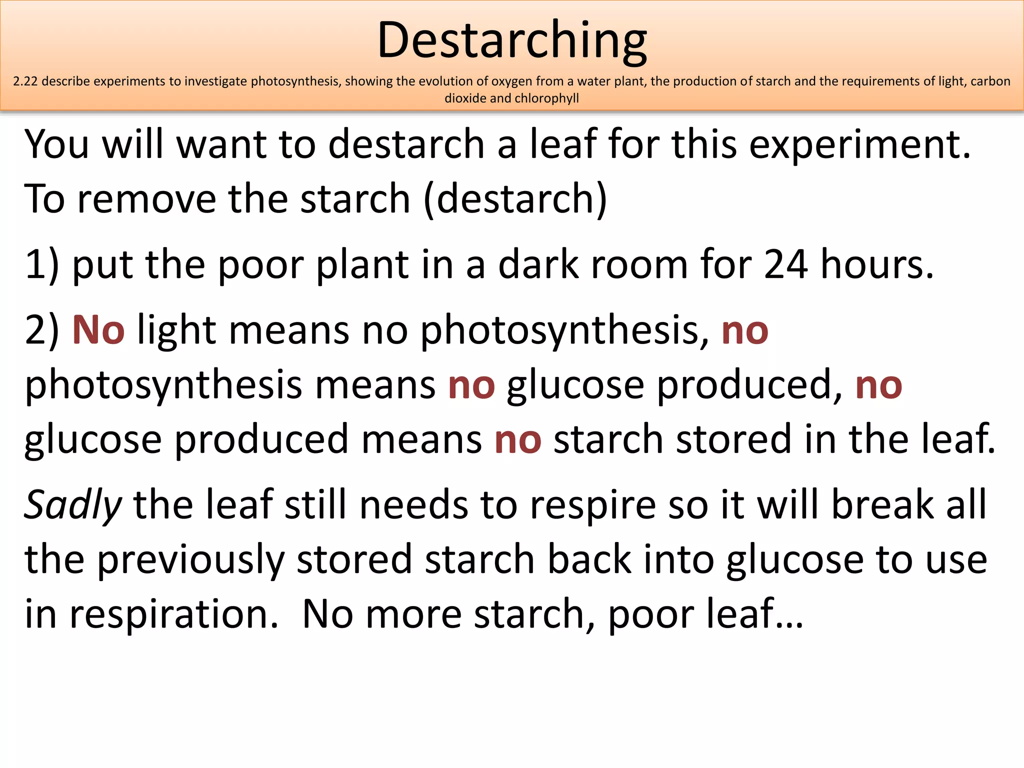 Destarching 
2.22 describe experiments to investigate photosynthesis, showing the evolution of oxygen from a water plant, the production of starch and the requirements of light, carbon 
dioxide and chlorophyll 
You will want to destarch a leaf for this experiment. 
To remove the starch (destarch) 
1) put the poor plant in a dark room for 24 hours. 
2) No light means no photosynthesis, no 
photosynthesis means no glucose produced, no 
glucose produced means no starch stored in the leaf. 
Sadly the leaf still needs to respire so it will break all 
the previously stored starch back into glucose to use 
in respiration. No more starch, poor leaf… 
 