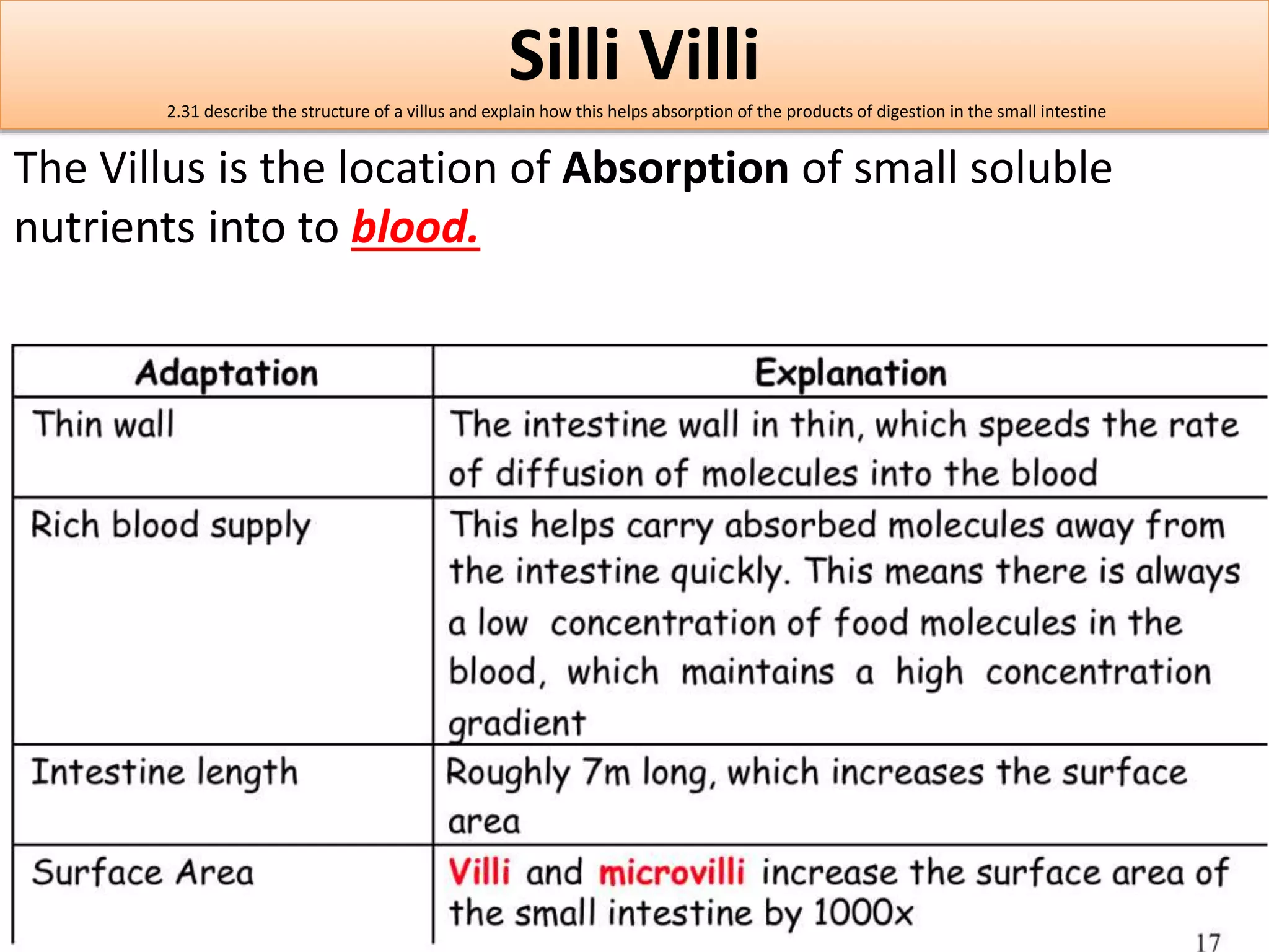 Silli Villi 
2.31 describe the structure of a villus and explain how this helps absorption of the products of digestion in the small intestine 
The Villus is the location of Absorption of small soluble 
nutrients into to blood. 
 