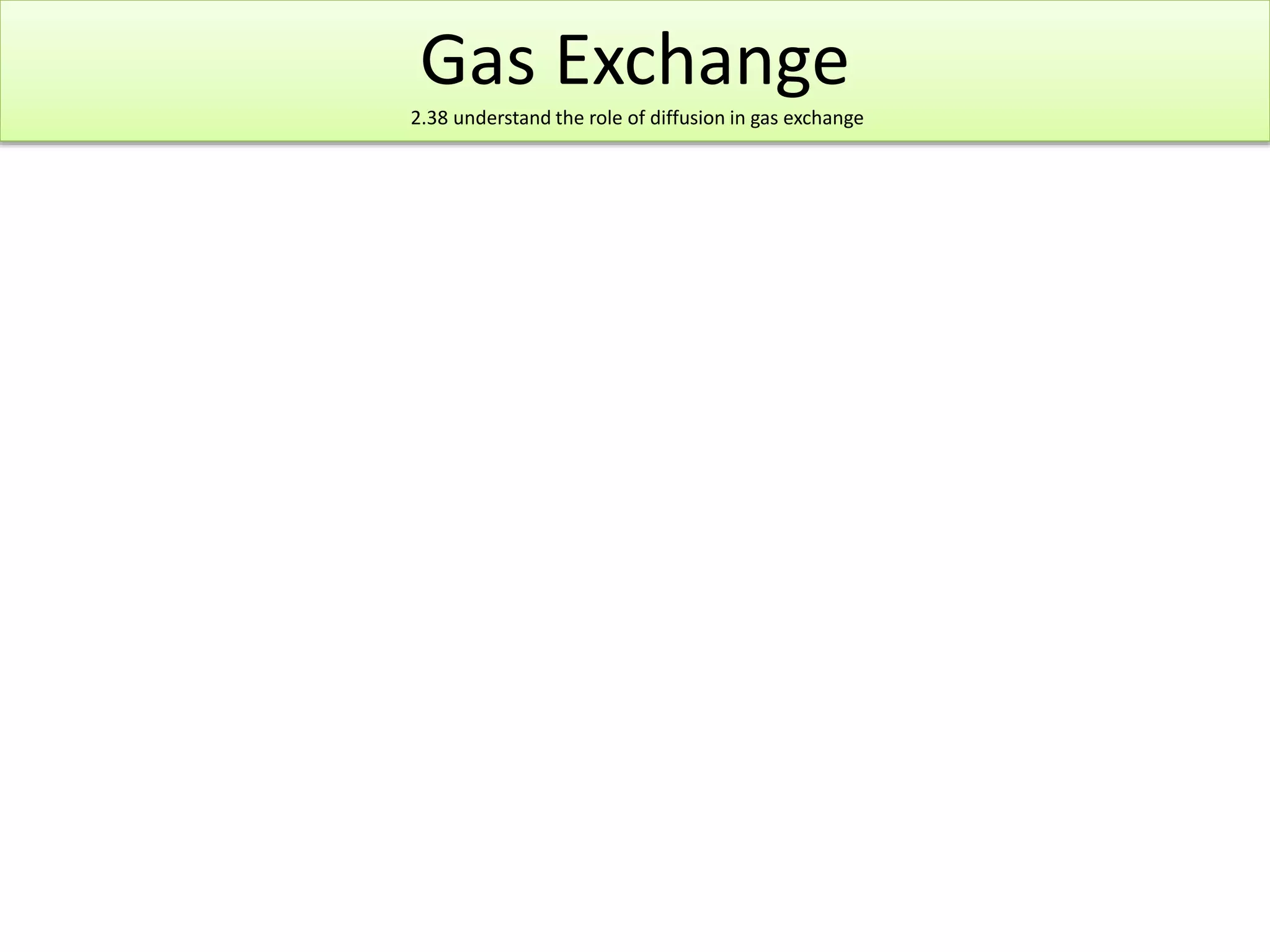Gas Exchange 
2.38 understand the role of diffusion in gas exchange 
 