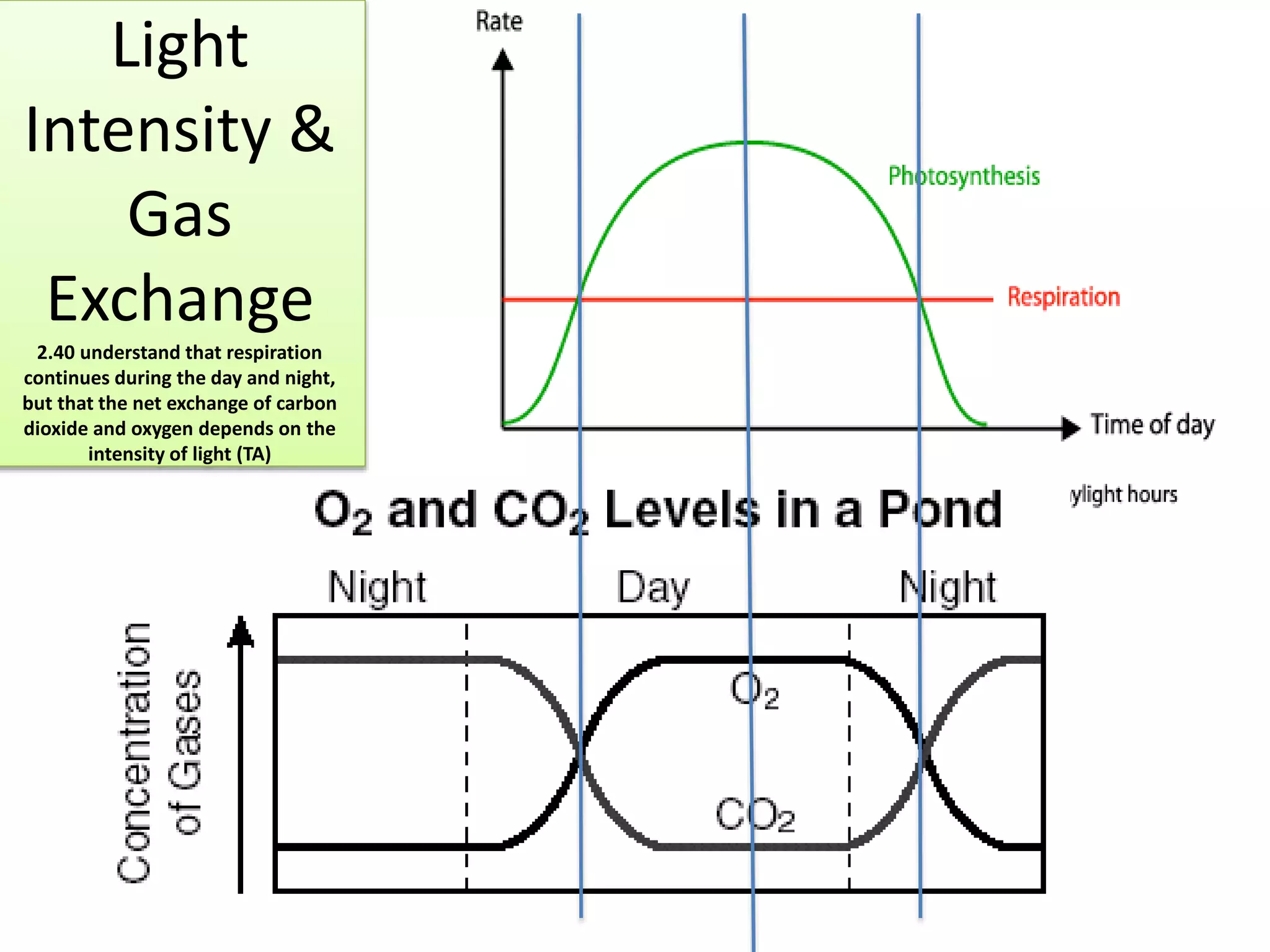 Light 
Intensity & 
Gas 
Exchange 
2.40 understand that respiration 
continues during the day and night, 
but that the net exchange of carbon 
dioxide and oxygen depends on the 
intensity of light (TA) 
 