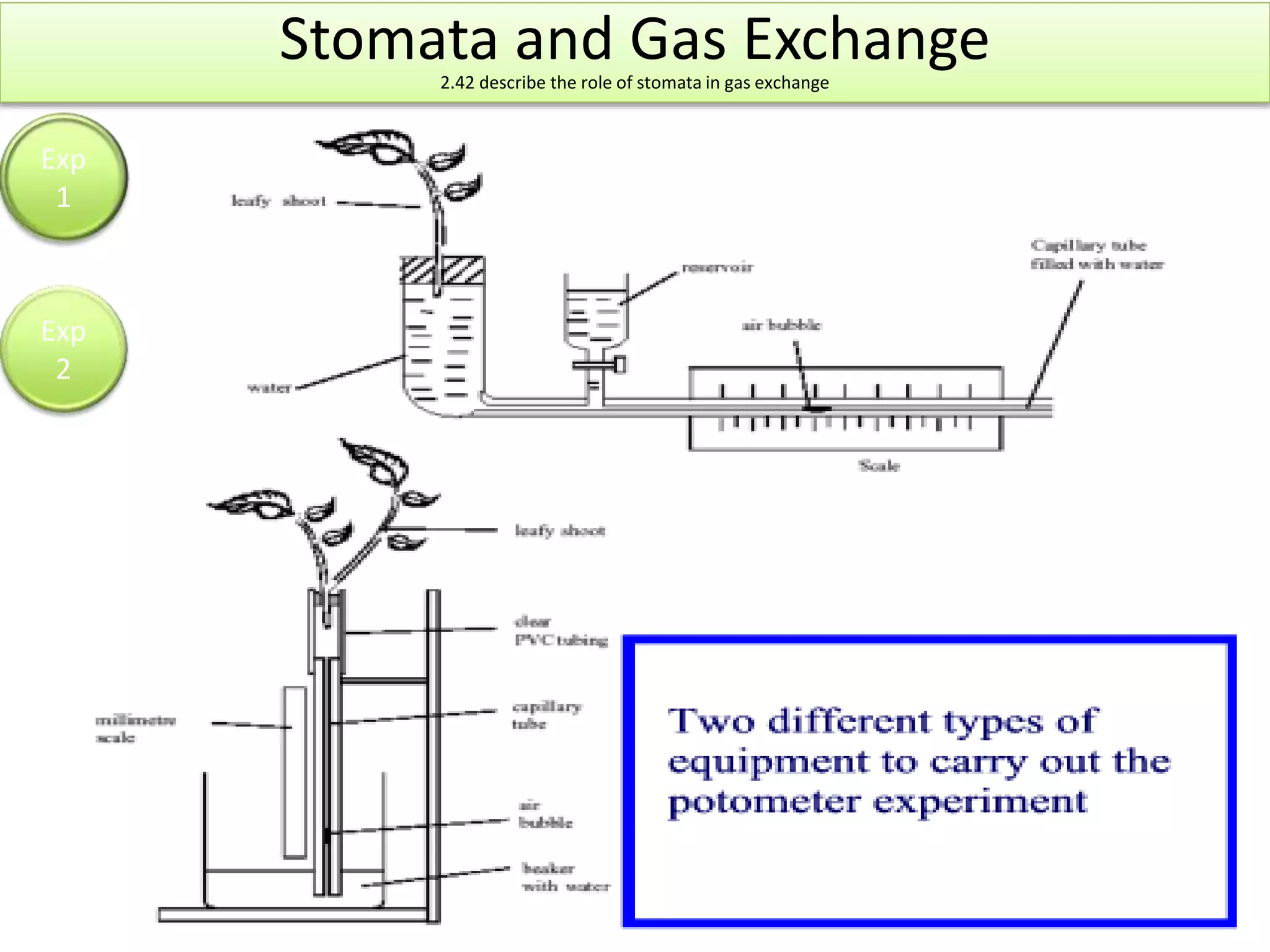 Stomata and Gas Exchange 
2.42 describe the role of stomata in gas exchange 
Exp 
1 
Exp 
2 
 