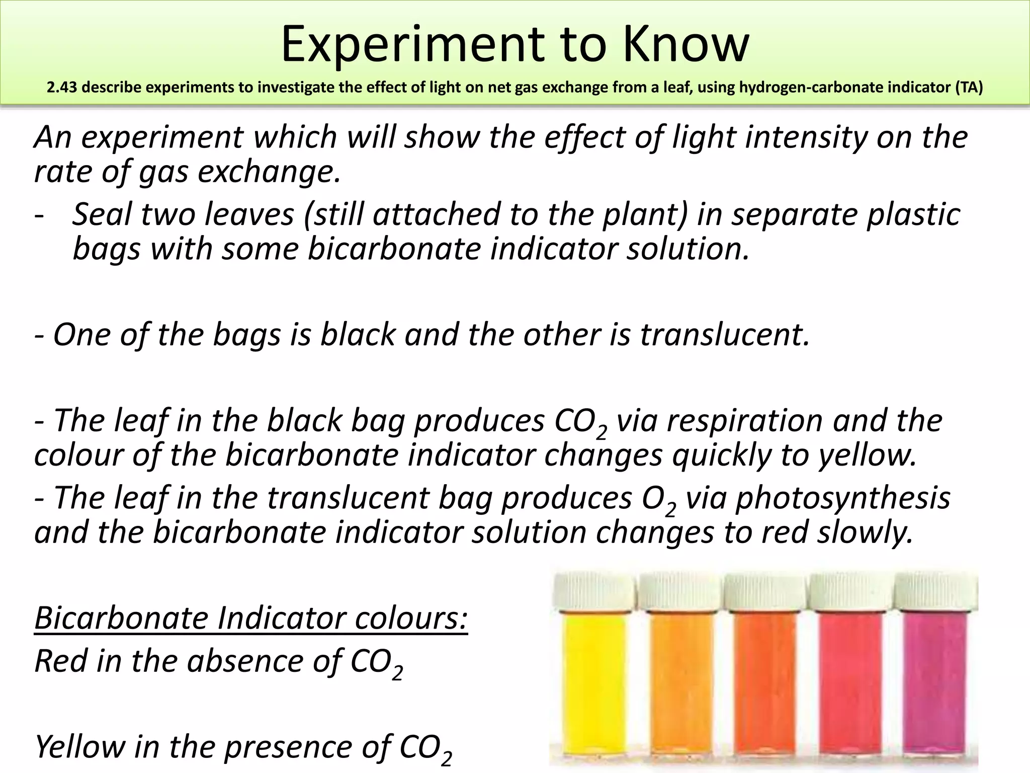 Experiment to Know 
2.43 describe experiments to investigate the effect of light on net gas exchange from a leaf, using hydrogen-carbonate indicator (TA) 
An experiment which will show the effect of light intensity on the 
rate of gas exchange. 
- Seal two leaves (still attached to the plant) in separate plastic 
bags with some bicarbonate indicator solution. 
- One of the bags is black and the other is translucent. 
- The leaf in the black bag produces CO2 via respiration and the 
colour of the bicarbonate indicator changes quickly to yellow. 
- The leaf in the translucent bag produces O2 via photosynthesis 
and the bicarbonate indicator solution changes to red slowly. 
Bicarbonate Indicator colours: 
Red in the absence of CO2 
Yellow in the presence of CO2 
 