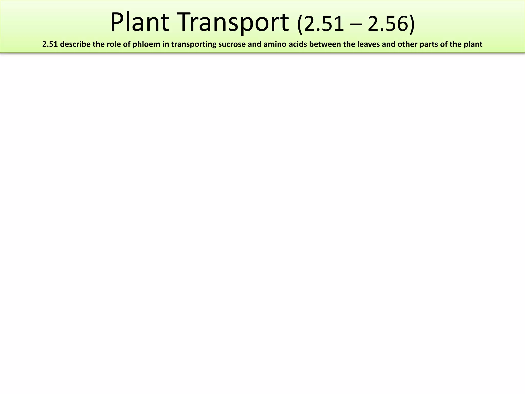Plant Transport (2.51 – 2.56) 
2.51 describe the role of phloem in transporting sucrose and amino acids between the leaves and other parts of the plant 
 