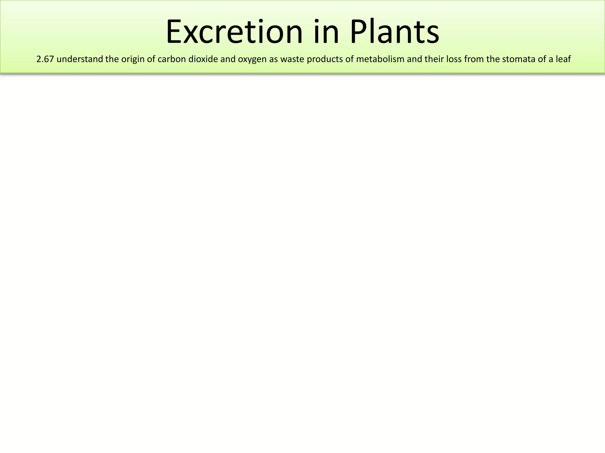 Excretion in Plants 
2.67 understand the origin of carbon dioxide and oxygen as waste products of metabolism and their loss from the stomata of a leaf 
 
