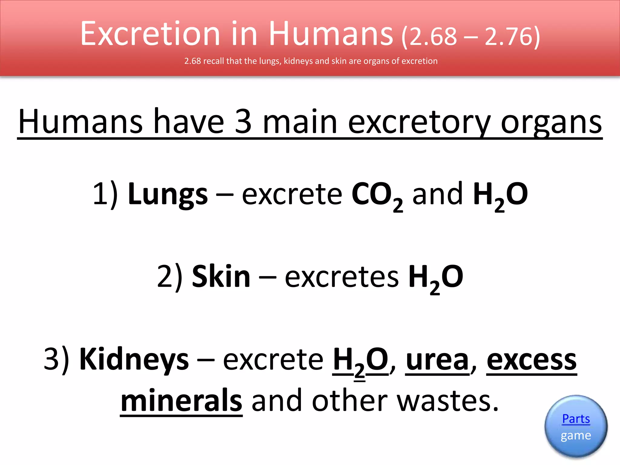 Excretion in Humans (2.68 – 2.76) 
2.68 recall that the lungs, kidneys and skin are organs of excretion 
Humans have 3 main excretory organs 
1) Lungs – excrete CO2 and H2O 
2) Skin – excretes H2O 
3) Kidneys – excrete H2O, urea, excess 
minerals and other wastes. Parts 
game 
 