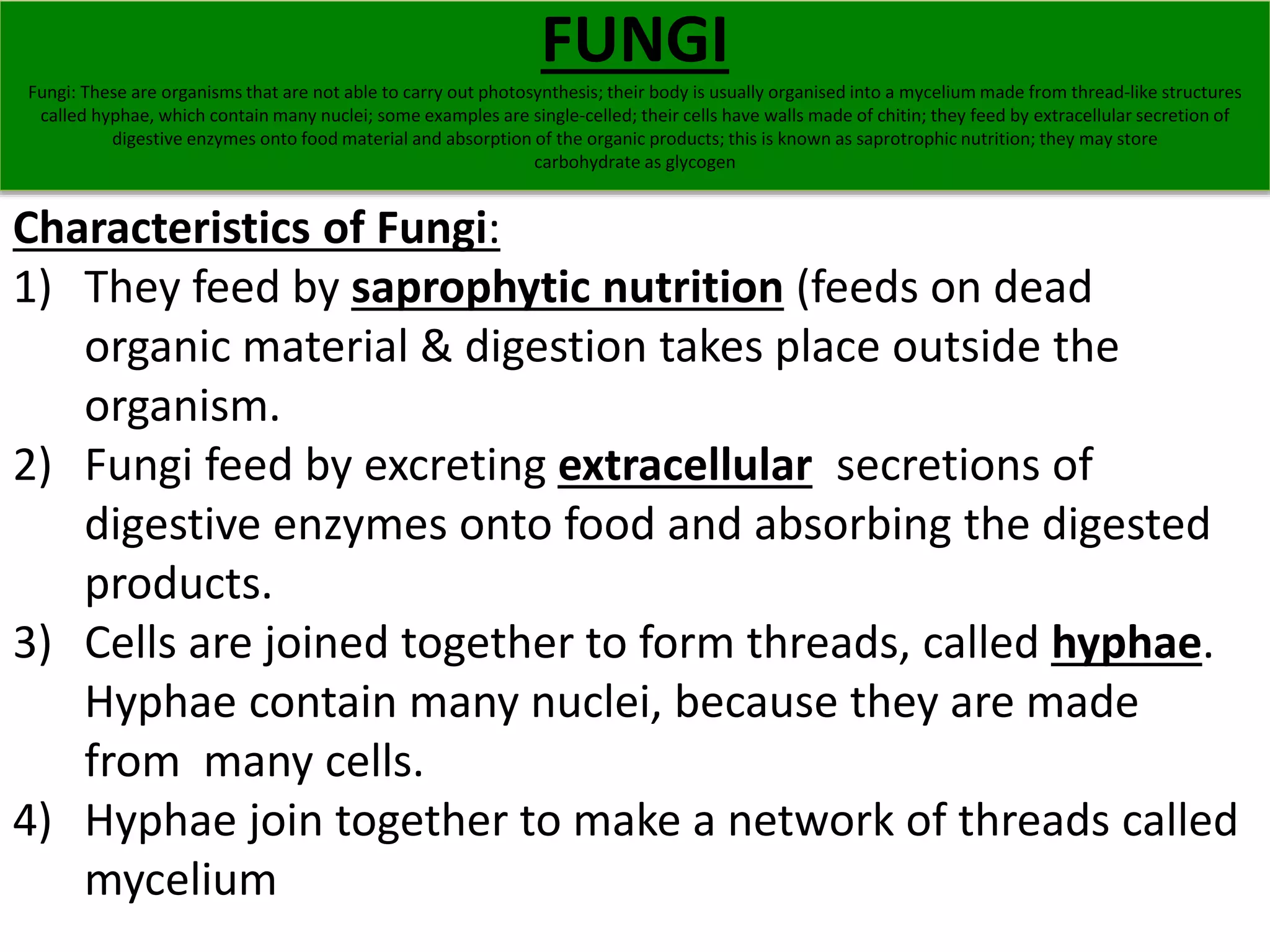 FUNGI 
Fungi: These are organisms that are not able to carry out photosynthesis; their body is usually organised into a mycelium made from thread-like structures 
called hyphae, which contain many nuclei; some examples are single-celled; their cells have walls made of chitin; they feed by extracellular secretion of 
digestive enzymes onto food material and absorption of the organic products; this is known as saprotrophic nutrition; they may store 
carbohydrate as glycogen 
Characteristics of Fungi: 
1) They feed by saprophytic nutrition (feeds on dead 
organic material & digestion takes place outside the 
organism. 
2) Fungi feed by excreting extracellular secretions of 
digestive enzymes onto food and absorbing the digested 
products. 
3) Cells are joined together to form threads, called hyphae. 
Hyphae contain many nuclei, because they are made 
from many cells. 
4) Hyphae join together to make a network of threads called 
mycelium 
 