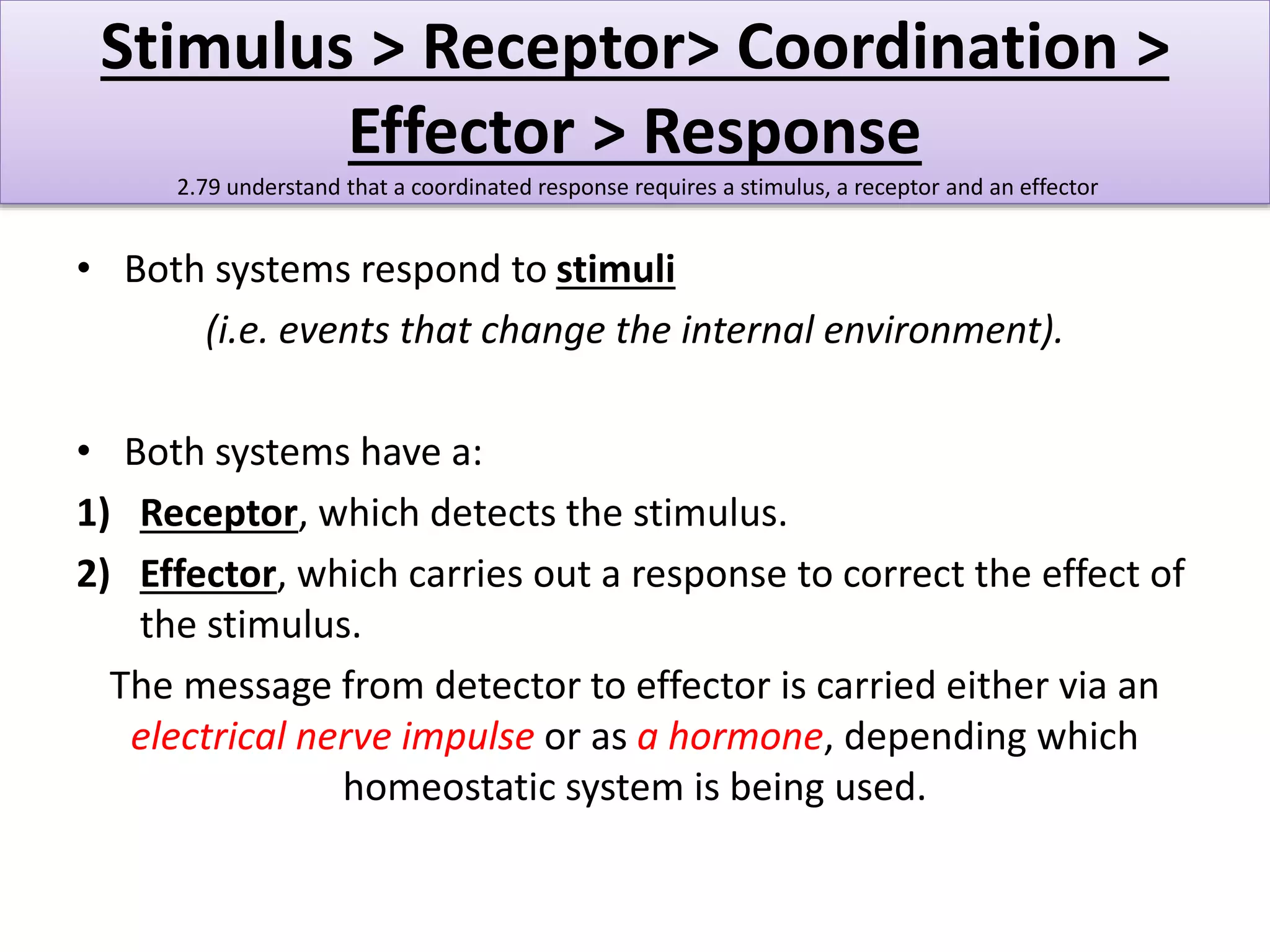 Stimulus > Receptor> Coordination > 
Effector > Response 
2.79 understand that a coordinated response requires a stimulus, a receptor and an effector 
• Both systems respond to stimuli 
(i.e. events that change the internal environment). 
• Both systems have a: 
1) Receptor, which detects the stimulus. 
2) Effector, which carries out a response to correct the effect of 
the stimulus. 
The message from detector to effector is carried either via an 
electrical nerve impulse or as a hormone, depending which 
homeostatic system is being used. 
 