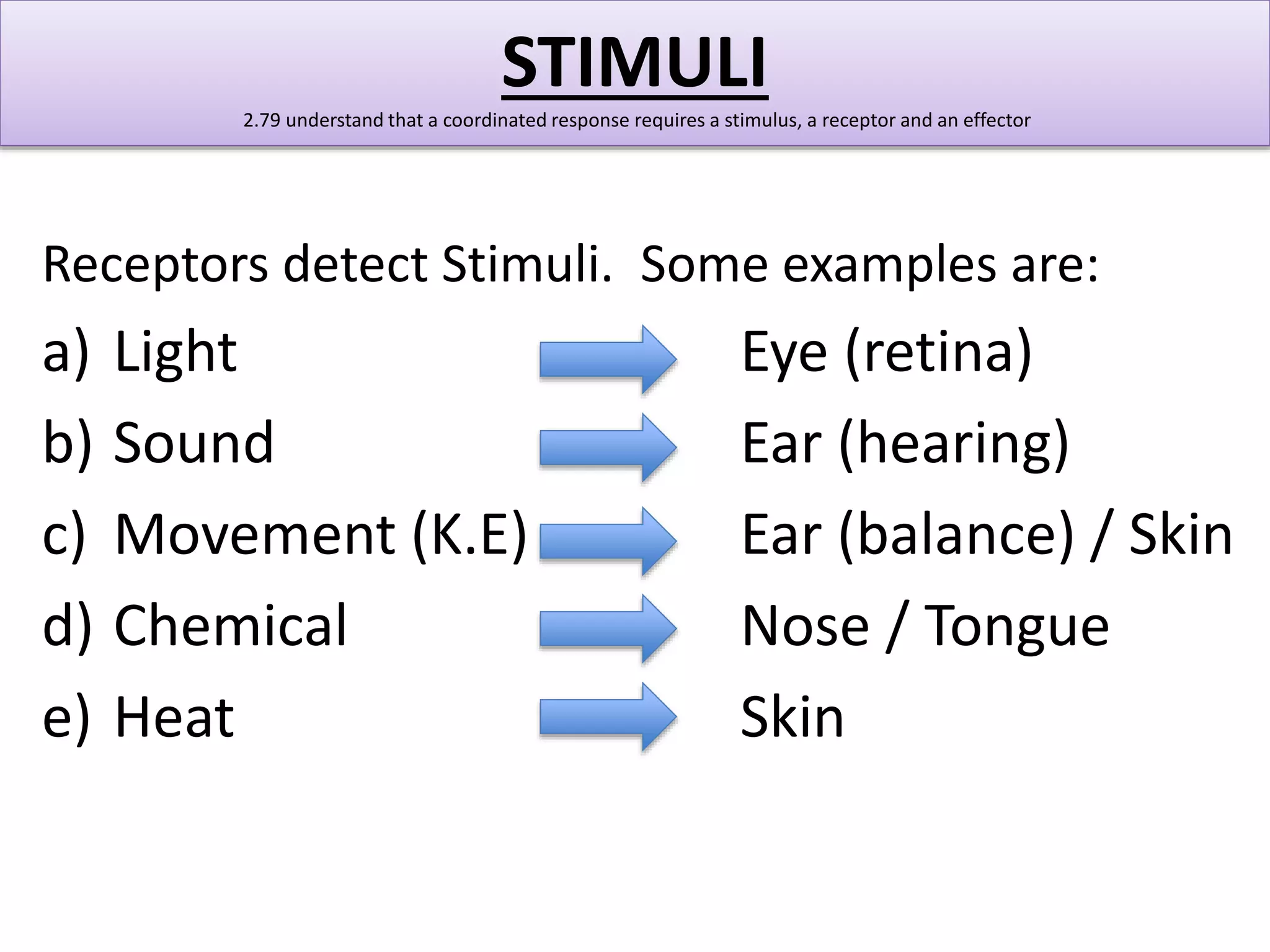 STIMULI 
2.79 understand that a coordinated response requires a stimulus, a receptor and an effector 
Receptors detect Stimuli. Some examples are: 
a) Light Eye (retina) 
b) Sound Ear (hearing) 
c) Movement (K.E) Ear (balance) / Skin 
d) Chemical Nose / Tongue 
e) Heat Skin 
 