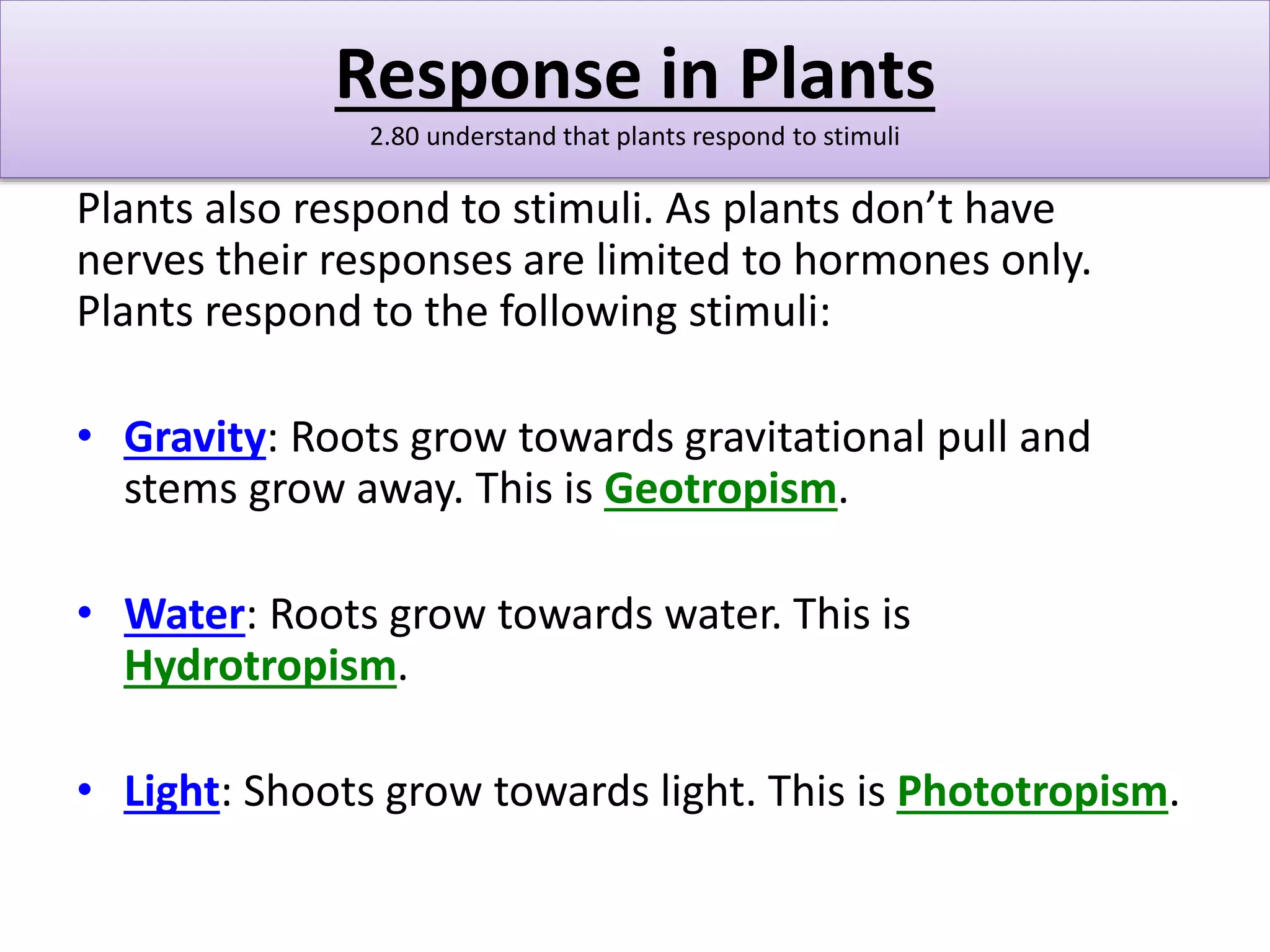 Response in Plants 
2.80 understand that plants respond to stimuli 
Plants also respond to stimuli. As plants don’t have 
nerves their responses are limited to hormones only. 
Plants respond to the following stimuli: 
• Gravity: Roots grow towards gravitational pull and 
stems grow away. This is Geotropism. 
• Water: Roots grow towards water. This is 
Hydrotropism. 
• Light: Shoots grow towards light. This is Phototropism. 
 
