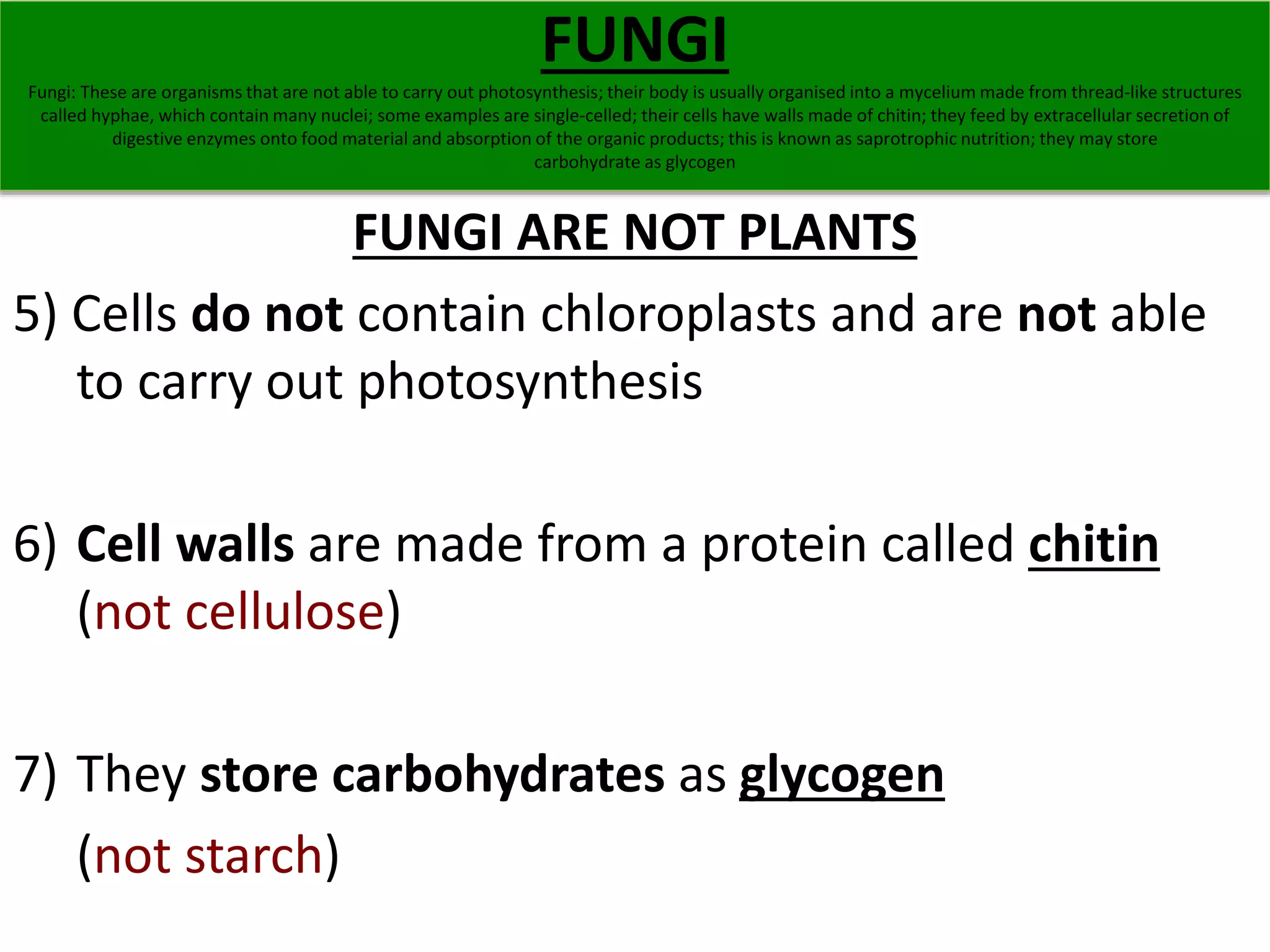 FUNGI ARE NOT PLANTS 
5) Cells do not contain chloroplasts and are not able 
to carry out photosynthesis 
6) Cell walls are made from a protein called chitin 
(not cellulose) 
7) They store carbohydrates as glycogen 
(not starch) 
FUNGI 
Fungi: These are organisms that are not able to carry out photosynthesis; their body is usually organised into a mycelium made from thread-like structures 
called hyphae, which contain many nuclei; some examples are single-celled; their cells have walls made of chitin; they feed by extracellular secretion of 
digestive enzymes onto food material and absorption of the organic products; this is known as saprotrophic nutrition; they may store 
carbohydrate as glycogen 
 