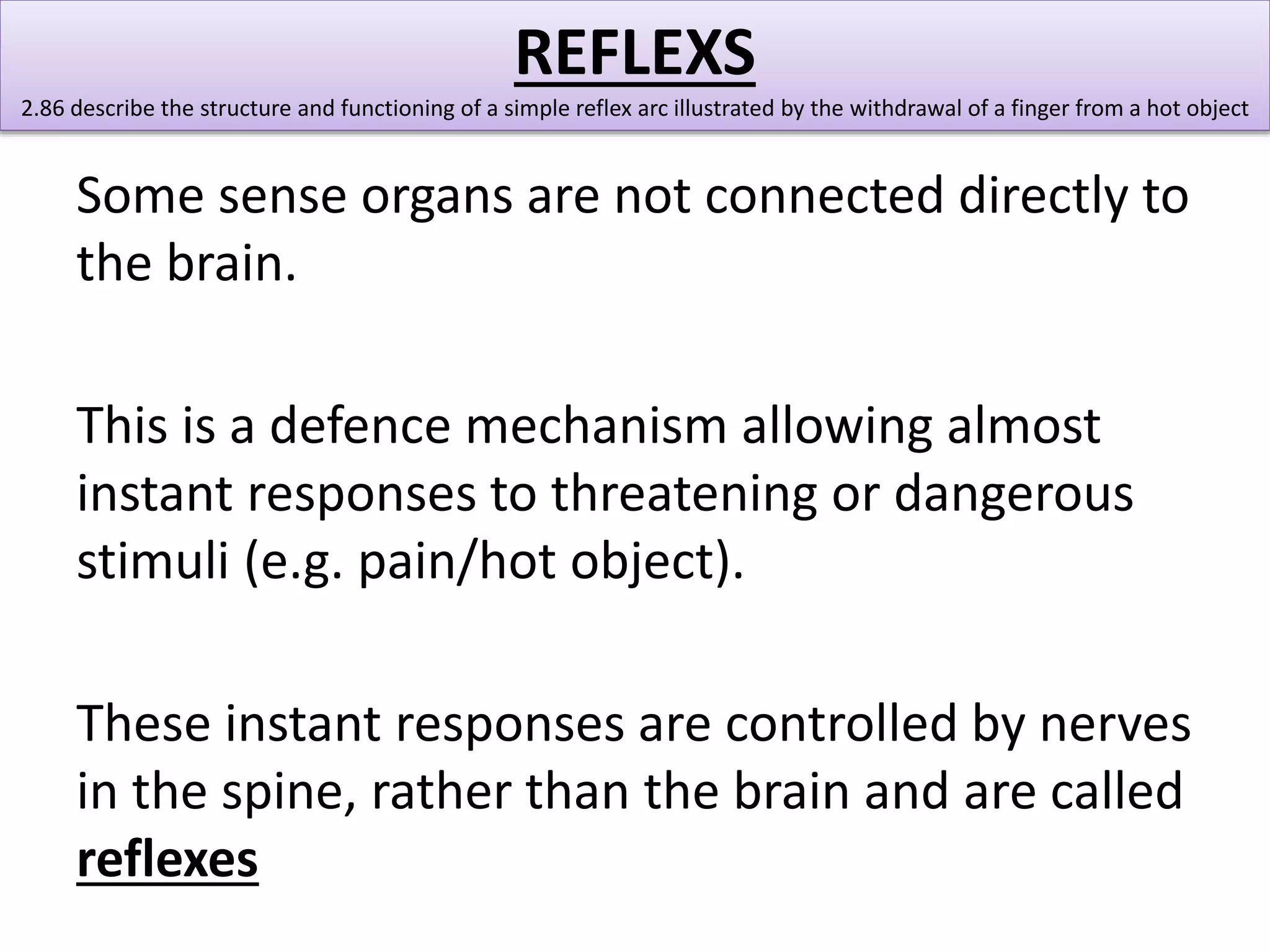 REFLEXS 
2.86 describe the structure and functioning of a simple reflex arc illustrated by the withdrawal of a finger from a hot object 
Some sense organs are not connected directly to 
the brain. 
This is a defence mechanism allowing almost 
instant responses to threatening or dangerous 
stimuli (e.g. pain/hot object). 
These instant responses are controlled by nerves 
in the spine, rather than the brain and are called 
reflexes 
 