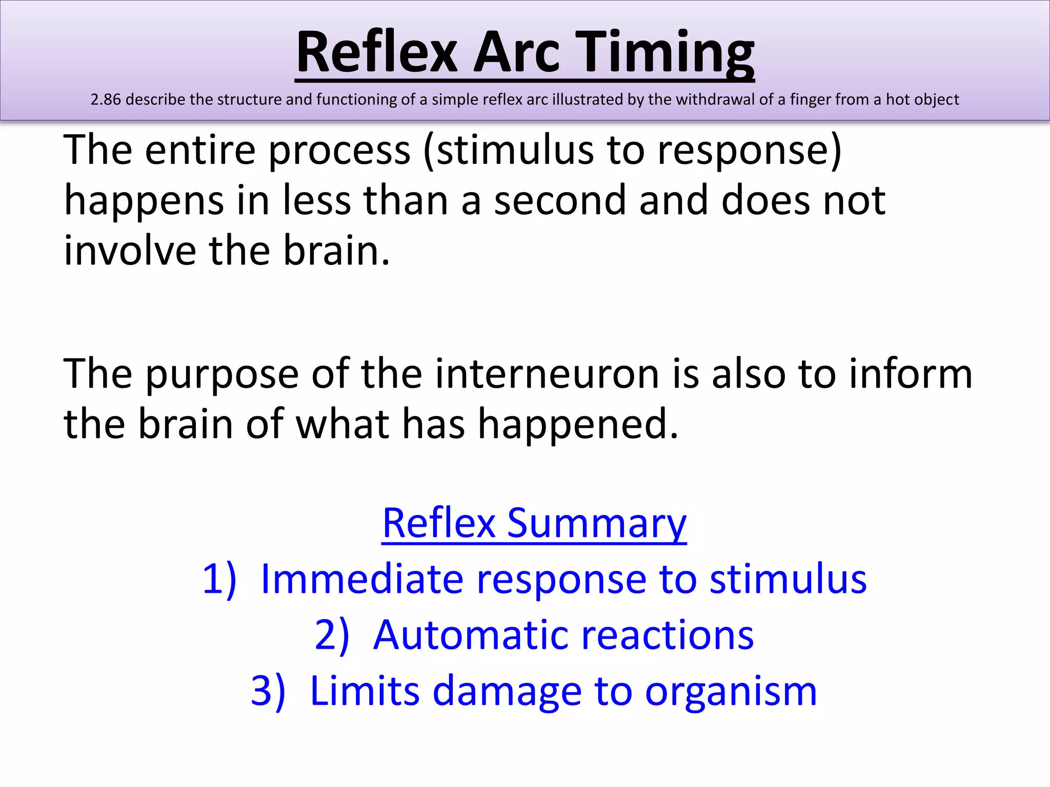 Reflex Arc Timing 
2.86 describe the structure and functioning of a simple reflex arc illustrated by the withdrawal of a finger from a hot object 
The entire process (stimulus to response) 
happens in less than a second and does not 
involve the brain. 
The purpose of the interneuron is also to inform 
the brain of what has happened. 
Reflex Summary 
1) Immediate response to stimulus 
2) Automatic reactions 
3) Limits damage to organism 
 
