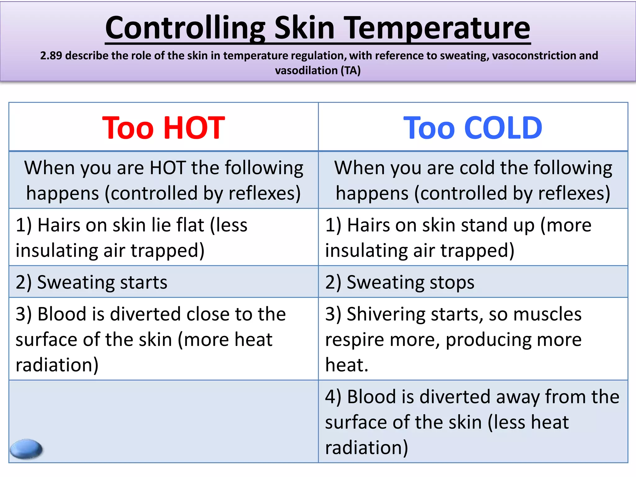 Controlling Skin Temperature 
2.89 describe the role of the skin in temperature regulation, with reference to sweating, vasoconstriction and 
vasodilation (TA) 
Too HOT Too COLD 
When you are HOT the following 
happens (controlled by reflexes) 
When you are cold the following 
happens (controlled by reflexes) 
1) Hairs on skin lie flat (less 
insulating air trapped) 
1) Hairs on skin stand up (more 
insulating air trapped) 
2) Sweating starts 2) Sweating stops 
3) Blood is diverted close to the 
surface of the skin (more heat 
radiation) 
3) Shivering starts, so muscles 
respire more, producing more 
heat. 
4) Blood is diverted away from the 
surface of the skin (less heat 
radiation) 
 