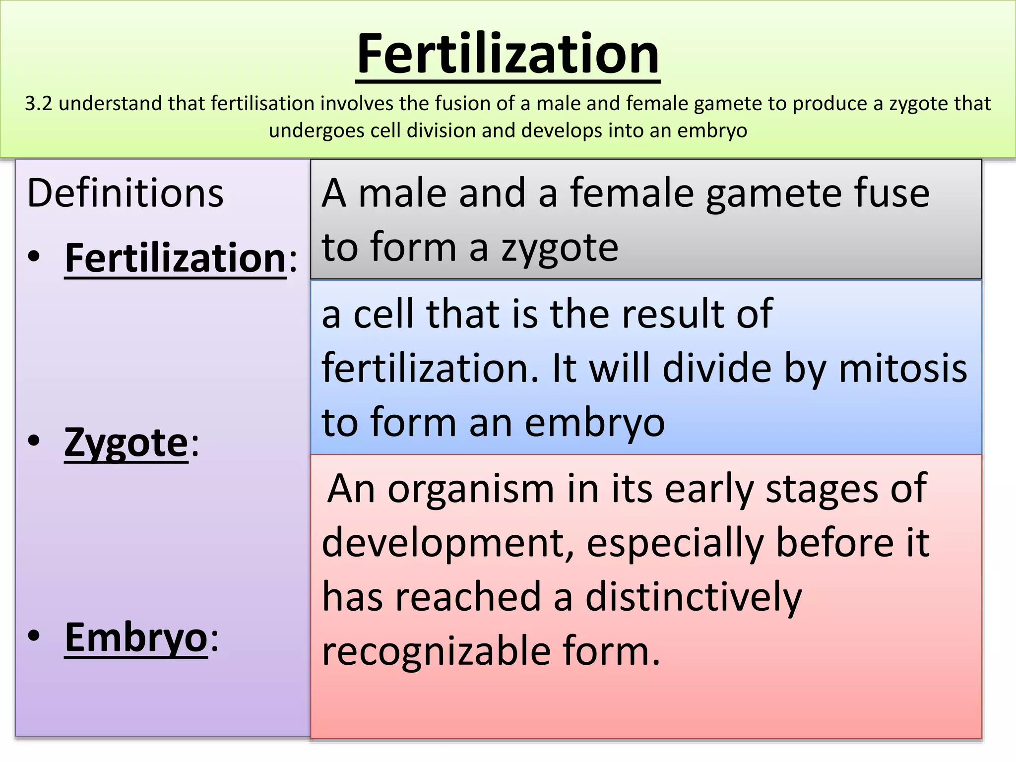 Fertilization 
3.2 understand that fertilisation involves the fusion of a male and female gamete to produce a zygote that 
undergoes cell division and develops into an embryo 
Definitions 
• Fertilization: 
• Zygote: 
• Embryo: 
A male and a female gamete fuse 
to form a zygote 
a cell that is the result of 
fertilization. It will divide by mitosis 
to form an embryo 
An organism in its early stages of 
development, especially before it 
has reached a distinctively 
recognizable form. 
 