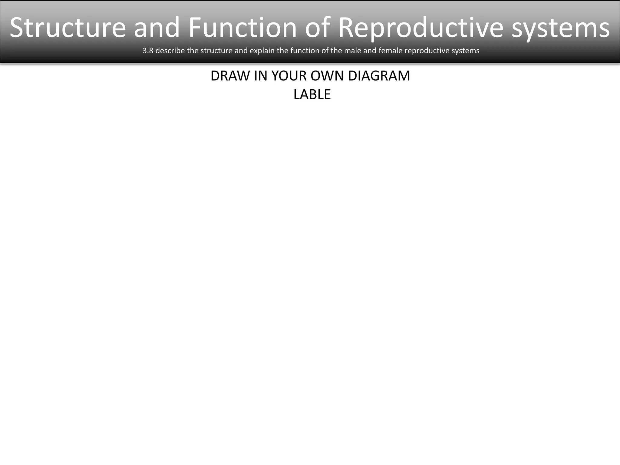 Structure and Function of Reproductive systems 
3.8 describe the structure and explain the function of the male and female reproductive systems 
DRAW IN YOUR OWN DIAGRAM 
LABLE 
 
