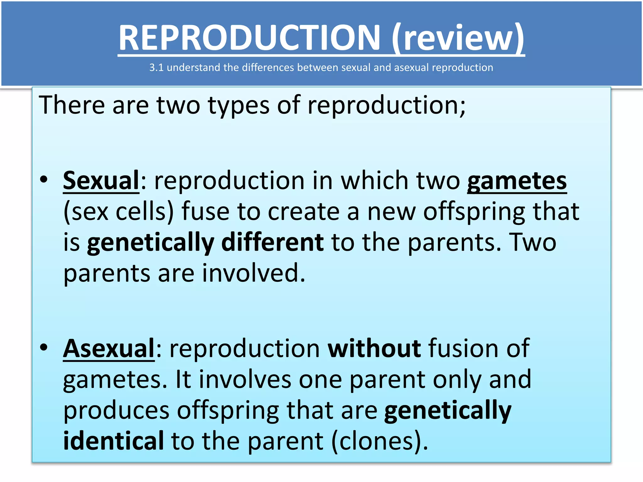 REPRODUCTION (review) 
3.1 understand the differences between sexual and asexual reproduction 
There are two types of reproduction; 
• Sexual: reproduction in which two gametes 
(sex cells) fuse to create a new offspring that 
is genetically different to the parents. Two 
parents are involved. 
• Asexual: reproduction without fusion of 
gametes. It involves one parent only and 
produces offspring that are genetically 
identical to the parent (clones). 
 
