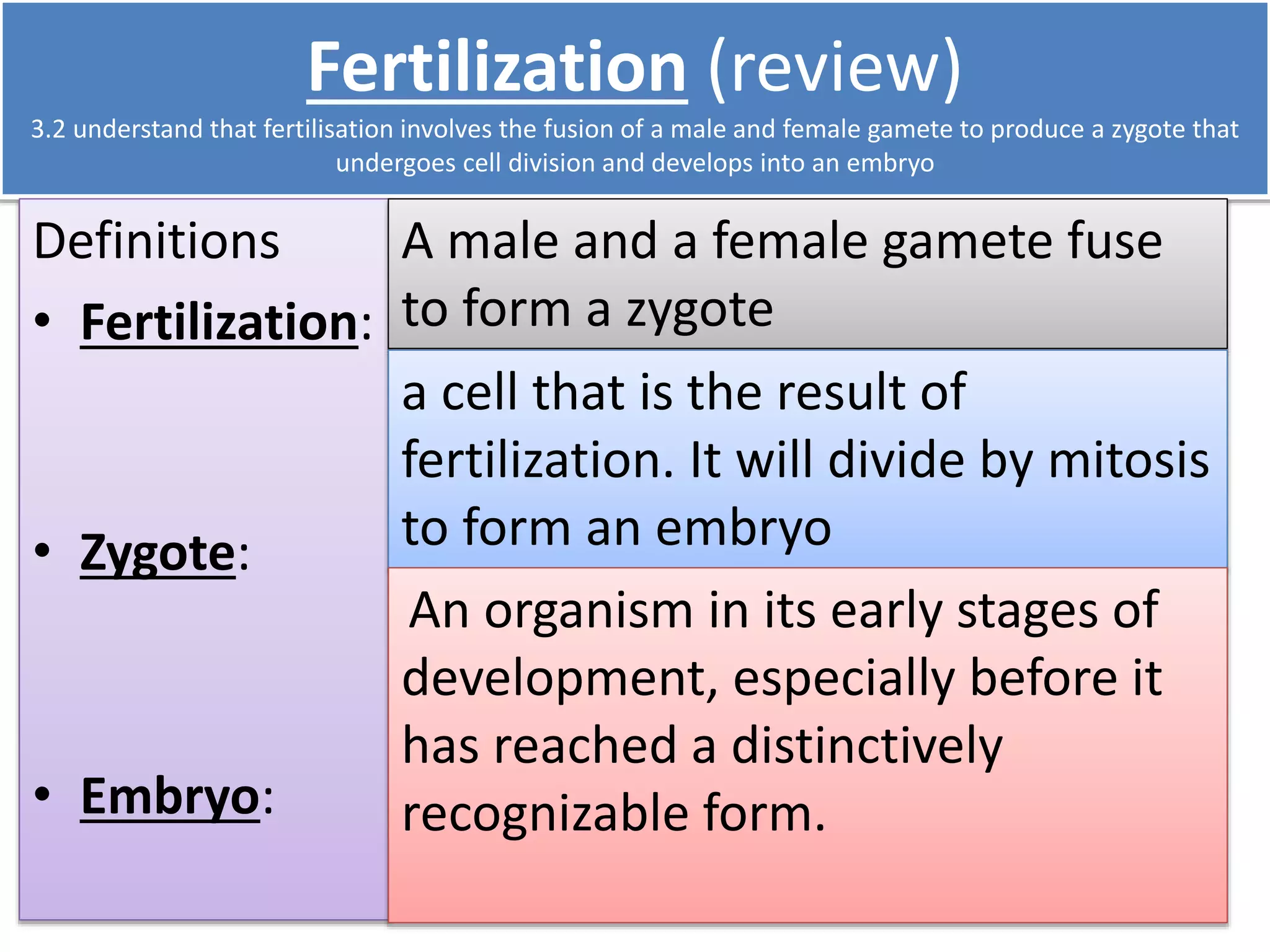 Fertilization (review) 
3.2 understand that fertilisation involves the fusion of a male and female gamete to produce a zygote that 
undergoes cell division and develops into an embryo 
Definitions 
• Fertilization: 
• Zygote: 
• Embryo: 
A male and a female gamete fuse 
to form a zygote 
a cell that is the result of 
fertilization. It will divide by mitosis 
to form an embryo 
An organism in its early stages of 
development, especially before it 
has reached a distinctively 
recognizable form. 
 