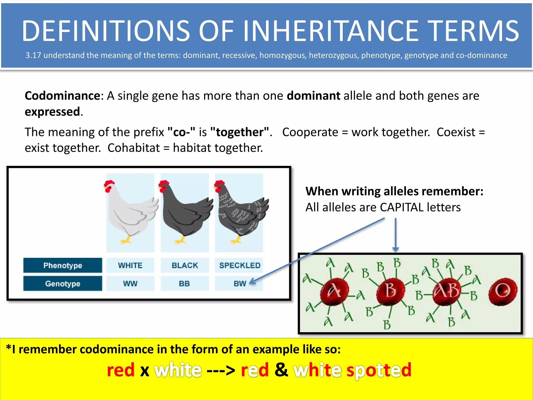 DEFINITIONS OF INHERITANCE TERMS 
3.17 understand the meaning of the terms: dominant, recessive, homozygous, heterozygous, phenotype, genotype and co-dominance 
Codominance: A single gene has more than one dominant allele and both genes are 
expressed. 
The meaning of the prefix "co-" is "together". Cooperate = work together. Coexist = 
exist together. Cohabitat = habitat together. 
When writing alleles remember: 
All alleles are CAPITAL letters 
*I remember codominance in the form of an example like so: 
red x ---> r d & h t s o t d 
 