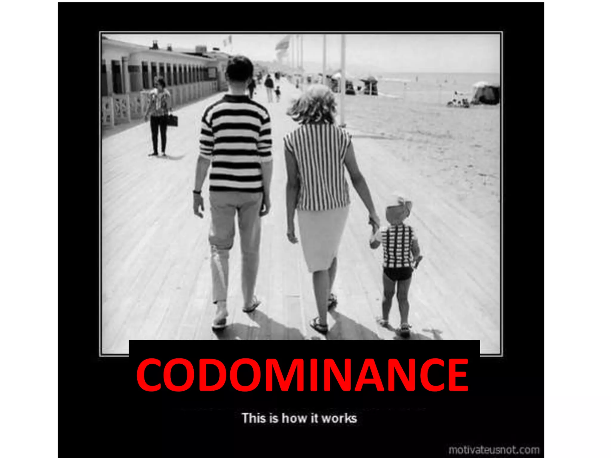 CODOMINANCE 
 