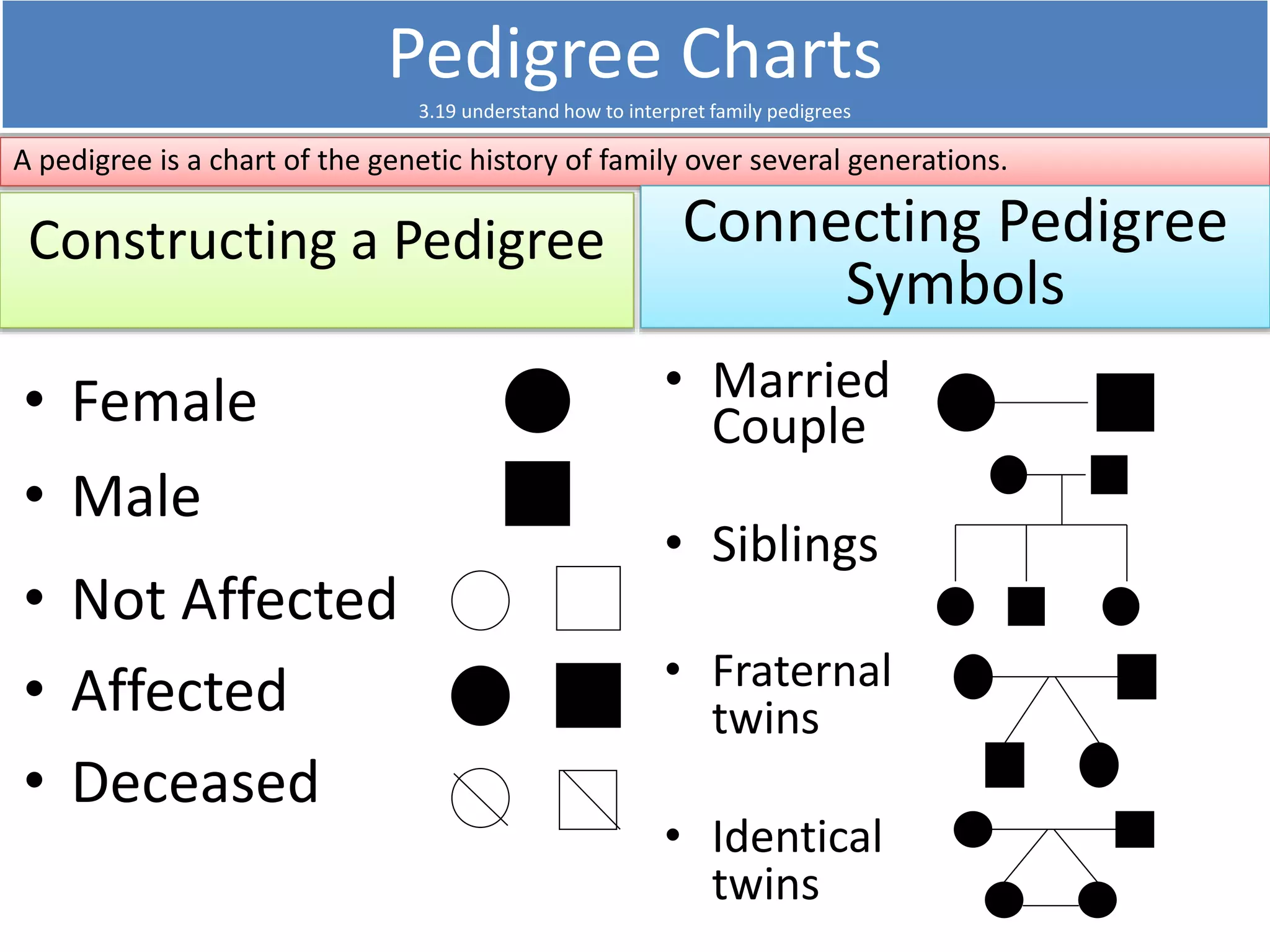 Pedigree Charts 
3.19 understand how to interpret family pedigrees 
A pedigree is a chart of the genetic history of family over several generations. 
Constructing a Pedigree 
• Female 
• Male 
Connecting Pedigree 
Symbols 
• Married 
Couple 
• Siblings 
• Fraternal 
twins 
• Identical 
twins 
• Not Affected 
• Affected 
• Deceased 
 