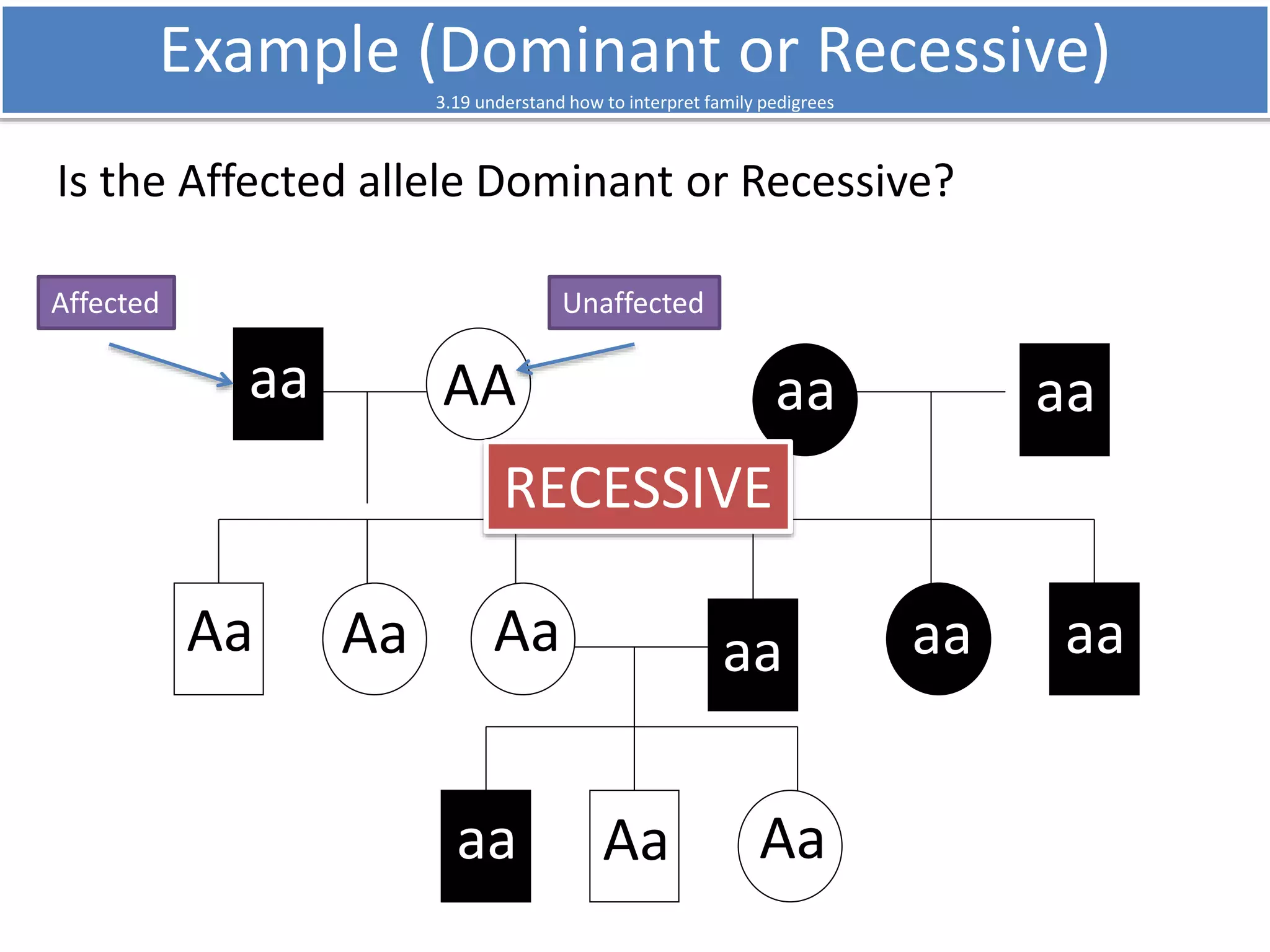 Example (Dominant or Recessive) 
3.19 understand how to interpret family pedigrees 
Is the Affected allele Dominant or Recessive? 
Affected Unaffected 
aa AA 
RECESSIVE 
Aa Aa Aa 
aa aa 
aa 
Aa Aa 
aa aa 
aa 
 