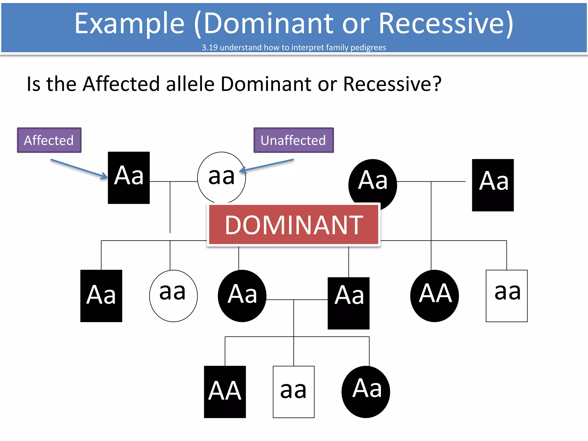 Example (Dominant or Recessive) 
3.19 understand how to interpret family pedigrees 
Is the Affected allele Dominant or Recessive? 
Affected Unaffected 
Aa aa 
Aa Aa 
DOMINANT 
aa aa 
Aa Aa Aa 
AA 
AA aa 
Aa 
 