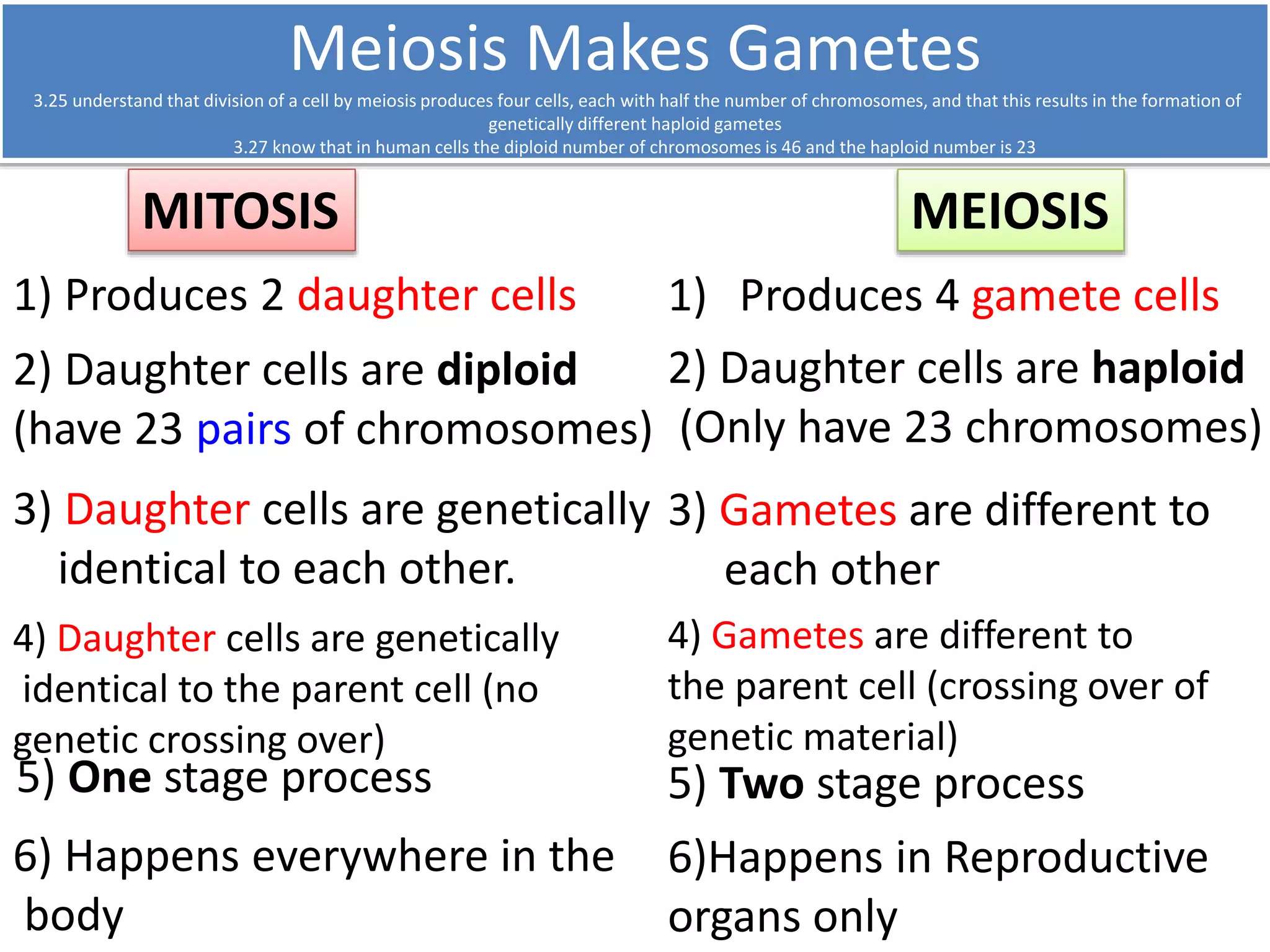 Meiosis Makes Gametes 
3.25 understand that division of a cell by meiosis produces four cells, each with half the number of chromosomes, and that this results in the formation of 
genetically different haploid gametes 
3.27 know that in human cells the diploid number of chromosomes is 46 and the haploid number is 23 
MITOSIS MEIOSIS 
1) Produces 2 daughter cells 
2) Daughter cells are diploid 
(have 23 pairs of chromosomes) 
3) Daughter cells are genetically 
identical to each other. 
3) Gametes are different to 
each other 
4) Gametes are different to 
the parent cell (crossing over of 
genetic material) 
5) Two stage process 
6)Happens in Reproductive 
organs only 
4) Daughter cells are genetically 
identical to the parent cell (no 
genetic crossing over) 
5) One stage process 
6) Happens everywhere in the 
body 
1) Produces 4 gamete cells 
2) Daughter cells are haploid 
(Only have 23 chromosomes) 
 